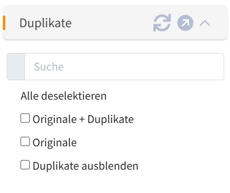 Screenshot Duplikate searchit