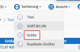 Menü „Sortierung“ in der Explorer-Ansicht; markiert „Größe“